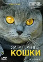  BBC: Загадочные кошки смотреть онлайн (2002) 