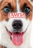  Гампи. Собачья жизнь смотреть онлайн (2024) 