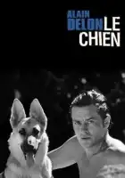  Пес смотреть онлайн (1962) 