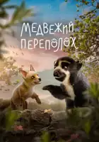  Медвежий переполох смотреть онлайн (2023) 
