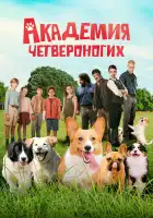  Академия четвероногих смотреть онлайн (2024) 